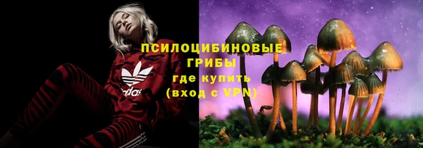 трава Абаза