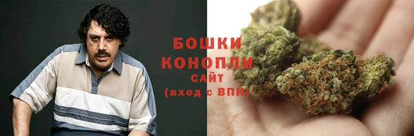 трава Абаза