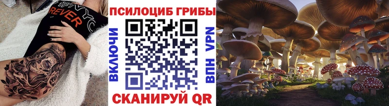 blacksprut ссылки  Омск  Псилоцибиновые грибы Psilocybine cubensis  наркотики 
